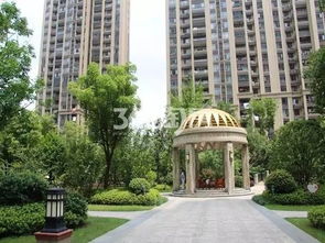 成武新楼盘出售现房 成武新楼盘出售现房