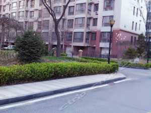 南戴河避暑花园小区 南戴河避暑花园小区