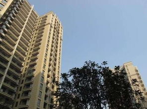 买高层房子几楼最好 买高层房子几楼最好