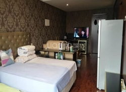 公寓出租成都 公寓出租成都