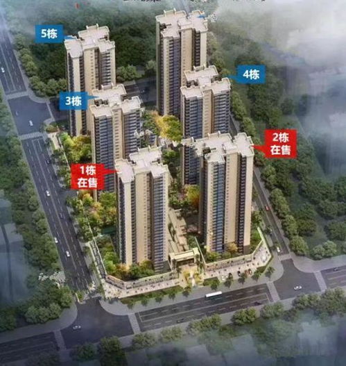 惠阳房子值得投资吗