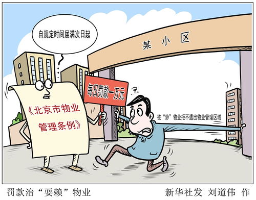 物业管理条例电梯