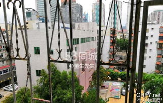 深圳动力小区 深圳动力小区