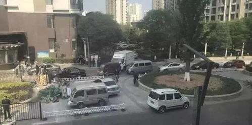 森林逸城的 物业 打人