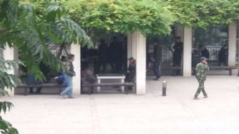 万佳鑫物业 北京