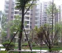 玲珑南域二手房