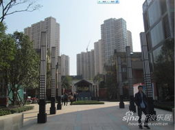 万科的物业好在哪