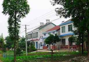 房子建好能改动吗